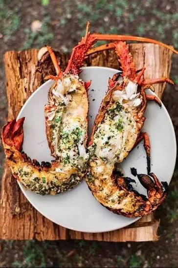 Langouste grillée 