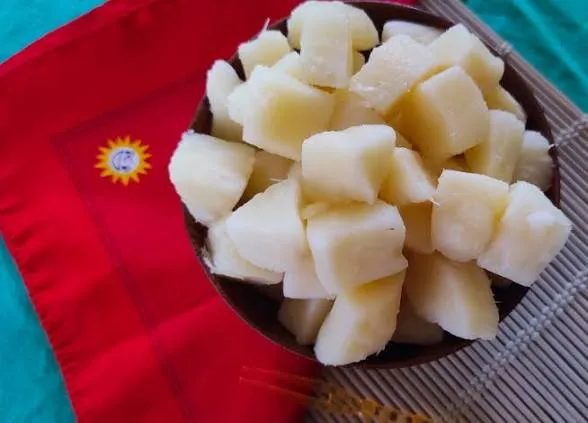 Manioc